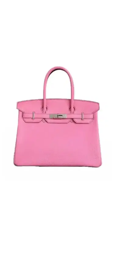 HERMÈS Pre-owned Hermes Birkin 30 Bubblegum 5P Togo Palladium Hardware | Thumbnail 1