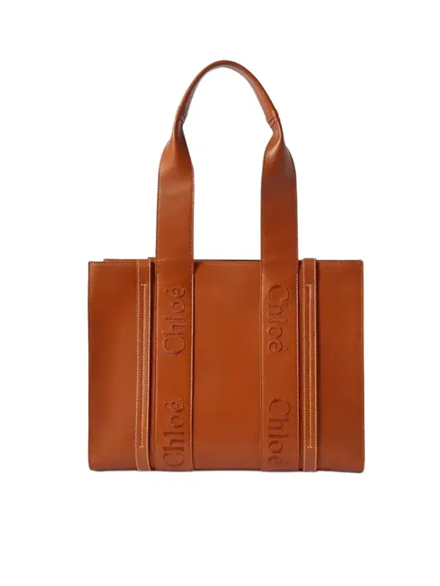 Woody Medium Embroidered Leather Tote