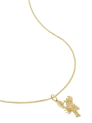 Sydney Evan Lobster 14-karat Gold Diamond Necklace | Thumbnail 1 Sydney Evan Lobster 14-karat Gold Diamond Necklace | Thumbnail 1