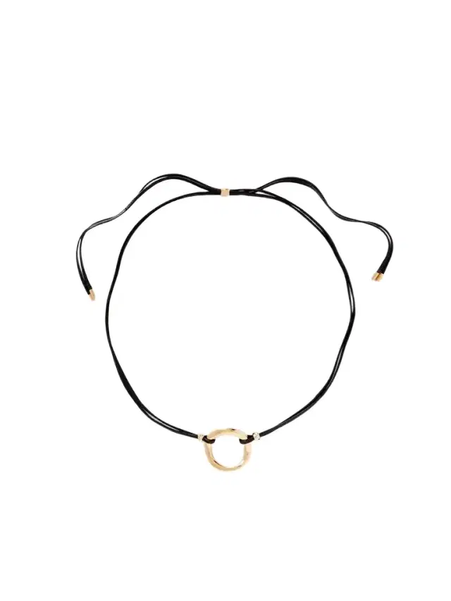 Orion Leather And Gold-tone Choker
