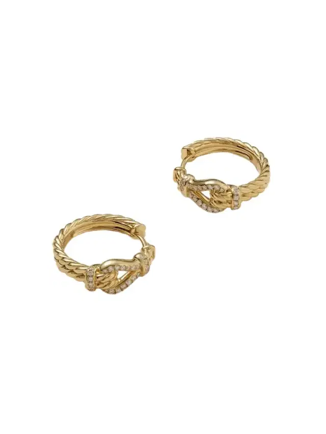 Thoroughbred Loop Hoop 18-karat Gold Diamond Earrings