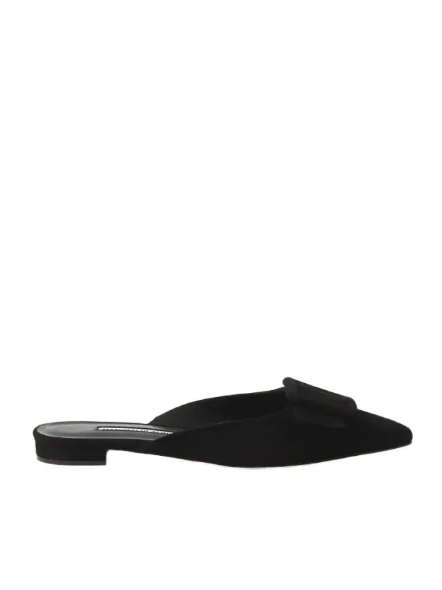 Manolo Blahnik Maysale Buckled Suede Point-toe Flats