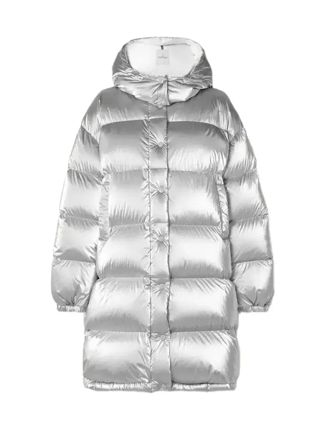 Gaou Hooded Quilted Metallic Shell Down Jacket