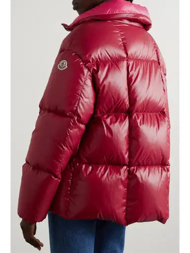 Moncler Parana Hooded Quilted Padded Shell Down Jacket | Thumbnail 3
