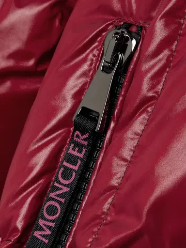 Moncler Parana Hooded Quilted Padded Shell Down Jacket | Thumbnail 4