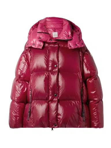 Moncler Parana Hooded Quilted Padded Shell Down Jacket | Thumbnail 1