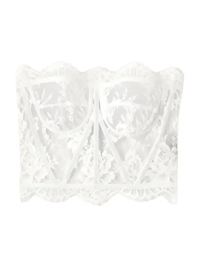 Dolce & Gabbana Grosgrain-trimmed Lace Bustier Top