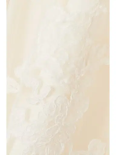 Danielle Frankel Lucy Cold-shoulder Lace-trimmed Tulle And Cady Mini Dress | Thumbnail 4 Danielle Frankel Lucy Cold-shoulder Lace-trimmed Tulle And Cady Mini Dress | Thumbnail 4
