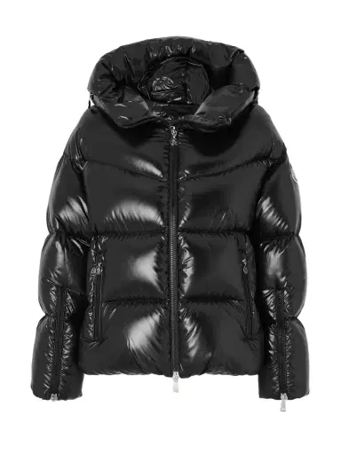 Moncler Huppe Appliquéd Quilted Padded Hooded Shell Down Jacket | Thumbnail 1