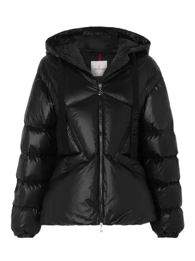 Moncler Seine Hooded Quilted Padded Glossed-shell Down Jacket