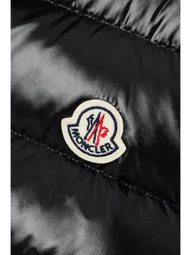 Moncler Ghany Quilted Glossed-shell Down Vest | Thumbnail 5