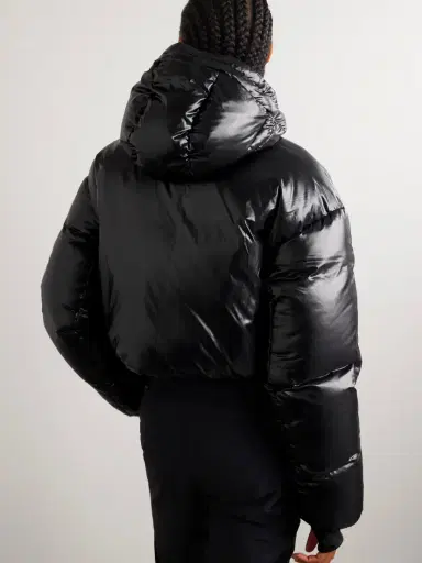 Aztech Mountain Daisy Nuke Cropped Quilted Glossed-shell Down Jacket | Thumbnail 4