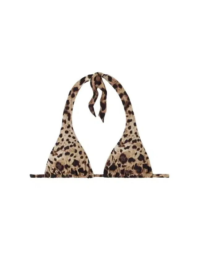 Leopard-print Halterneck Bikini Top