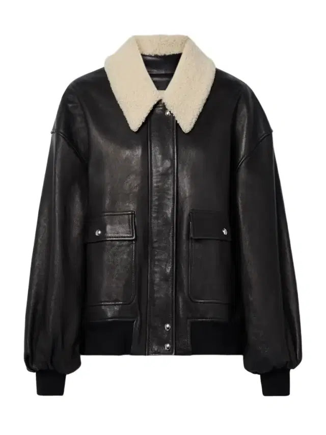 Shellar Shearling-trimmed Leather Jacket