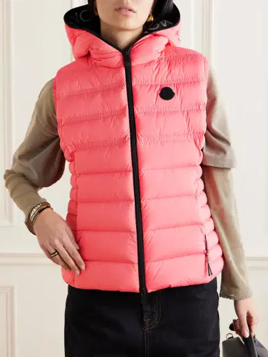 Moncler Aliterse Quilted Shell Down Vest | Thumbnail 3 Moncler Aliterse Quilted Shell Down Vest | Thumbnail 3