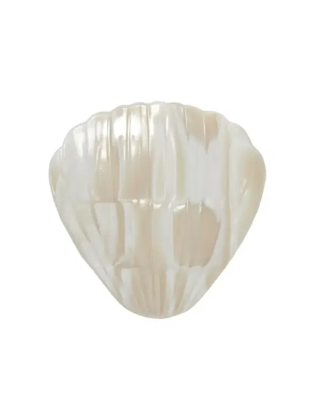 Fan Shell Acetate Hair Clip