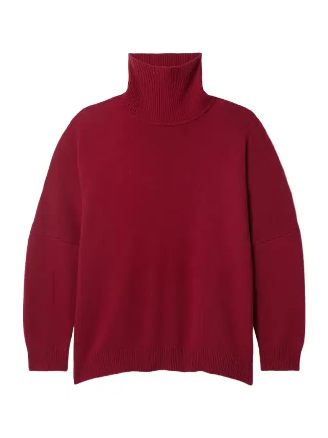 Vinicius Oversized Cashmere Turtleneck Sweater