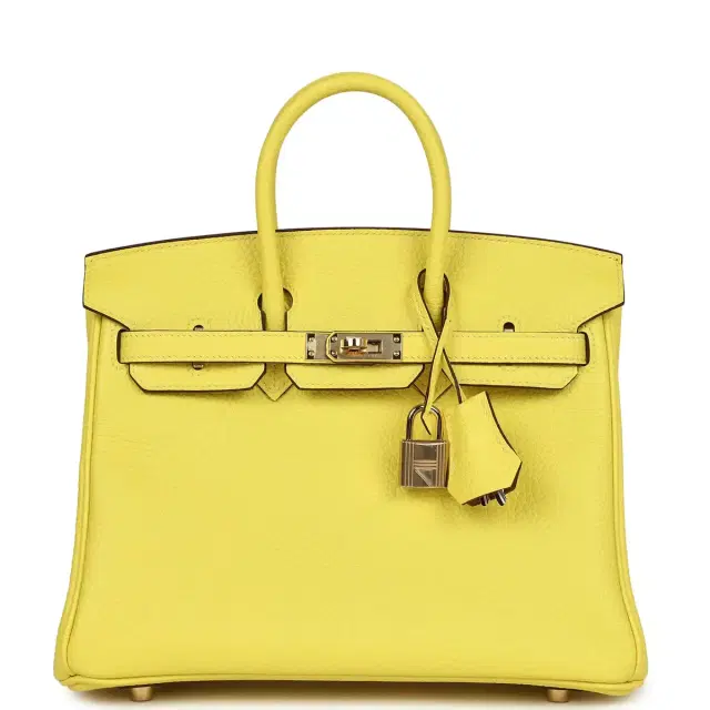 hermes Hermes Special Order (HSS) Birkin 25 Limoncello Verso Togo Rose Gold Hardware