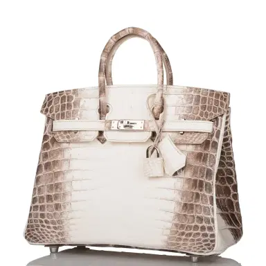 HERMÈS Hermes White Matte Niloticus Himalaya Crocodile Birkin 25cm | Thumbnail 5