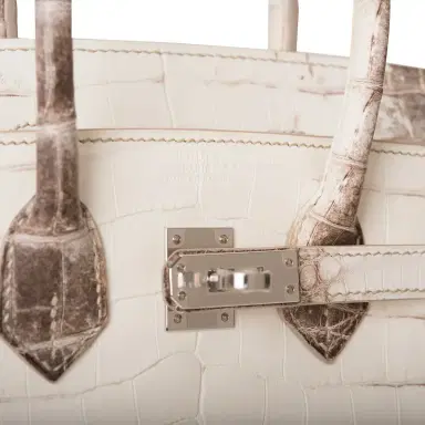 HERMÈS Hermes White Matte Niloticus Himalaya Crocodile Birkin 25cm | Thumbnail 7