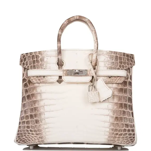 hermes Hermes White Matte Niloticus Himalaya Crocodile Birkin 25cm