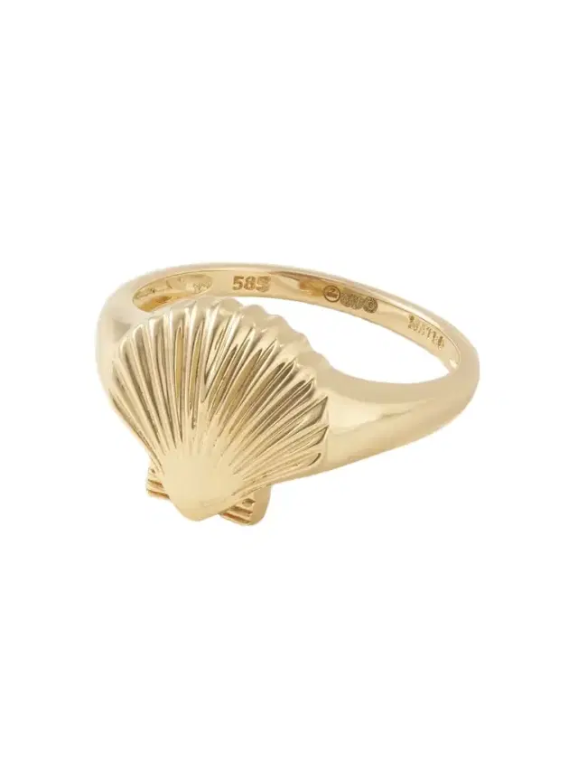 Mateo Venus 14-karat Gold Signet Ring