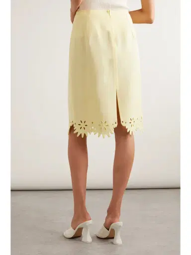 Bottega Veneta Broderie Anglaise Skirt | Thumbnail 4