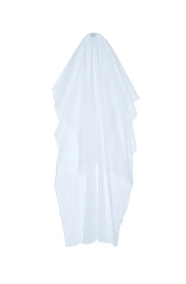 Tulle Veil