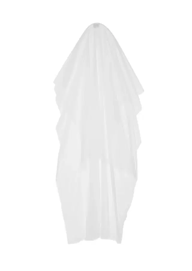 Tulle Veil