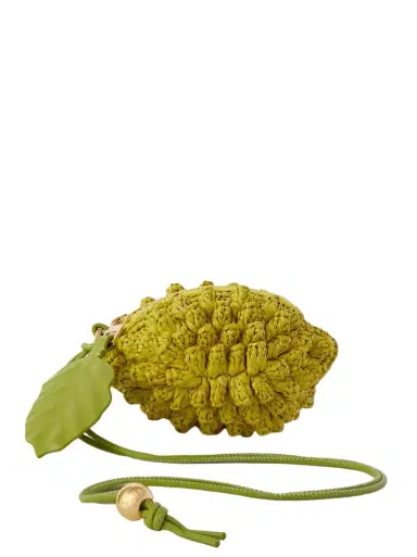 Loewe + Paula's Ibiza Lemon Leather-trimmed Raffia Coin Purse - - One size | Thumbnail 1 Loewe + Paula's Ibiza Lemon Leather-trimmed Raffia Coin Purse - - One size | Thumbnail 1