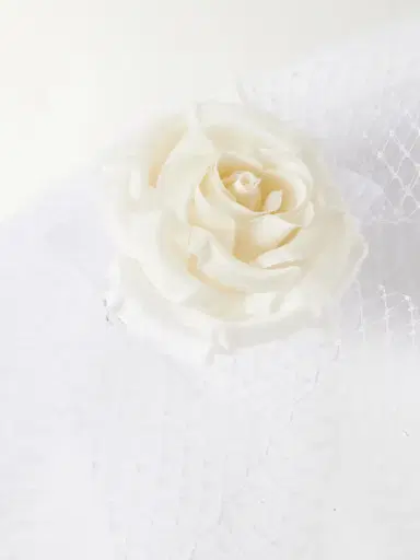 Rodarte Embellished Silk-tulle Veil | Thumbnail 4