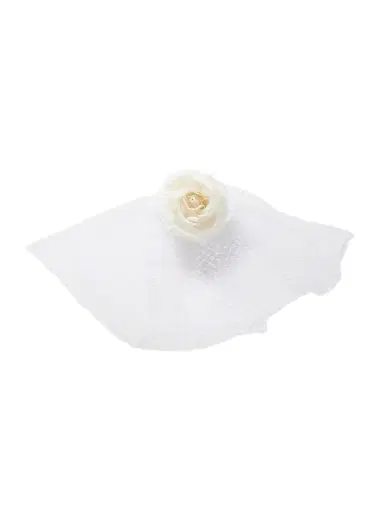 Rodarte Embellished Silk-tulle Veil | Thumbnail 1