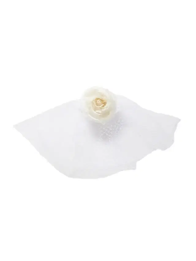 Embellished Silk-tulle Veil