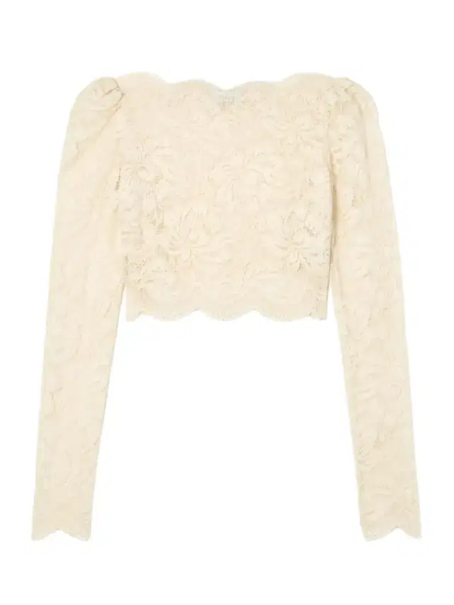 Scalloped Cropped Lace Top