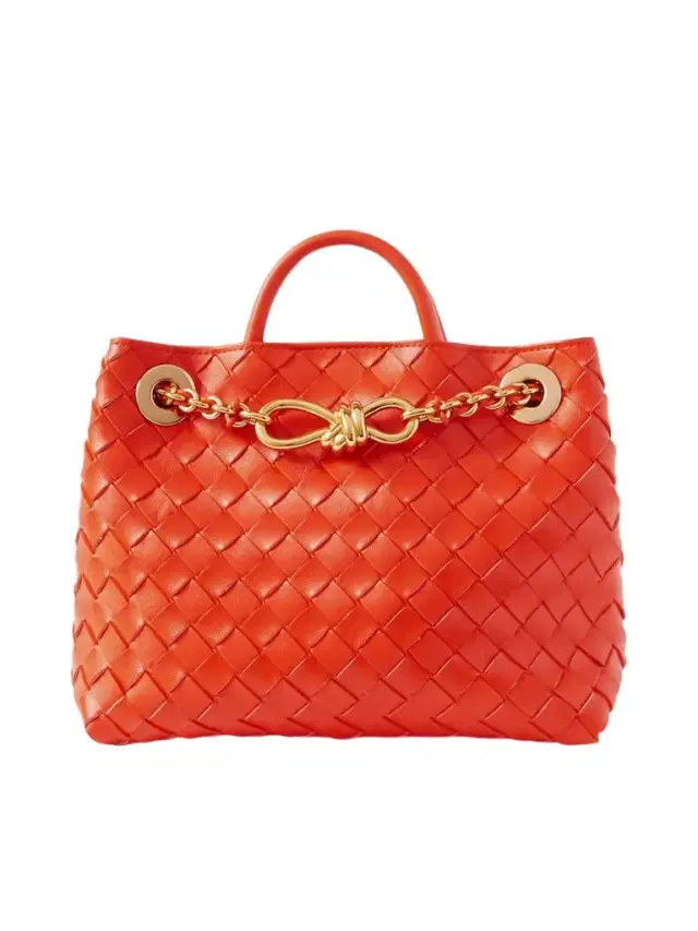 Andiamo Small Intrecciato Leather Tote