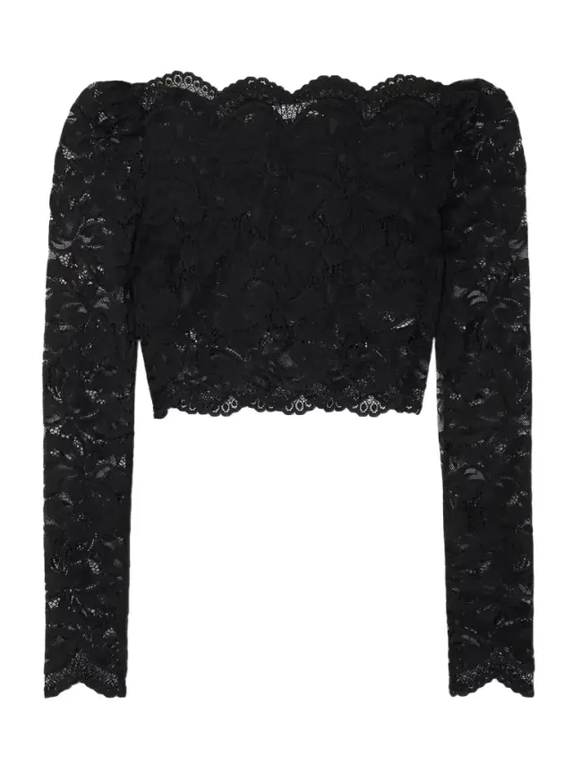 Cropped Scalloped Stretch-lace Top