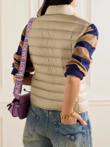 Moncler Liane Quilted Appliquéd Shell Down Vest | Thumbnail 4