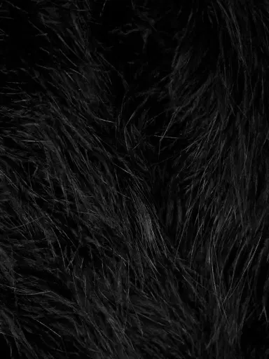 Yves Salomon Cropped Feathered Satin Jacket | Thumbnail 4