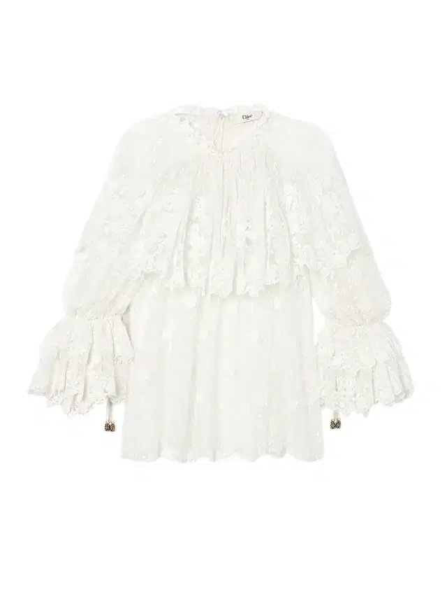 Ruffled Corded Lace Blouse