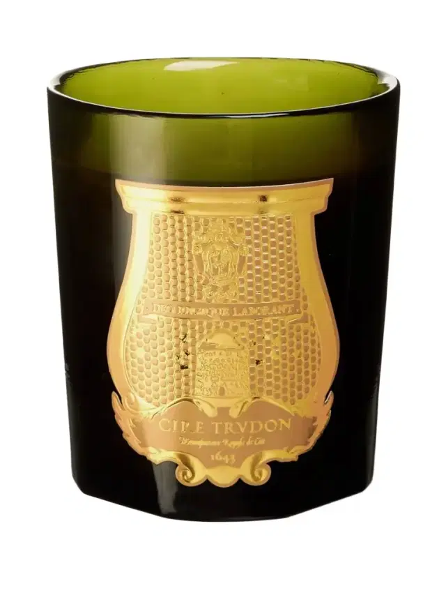 TRUDON Gabriel Scented Candle, 270g