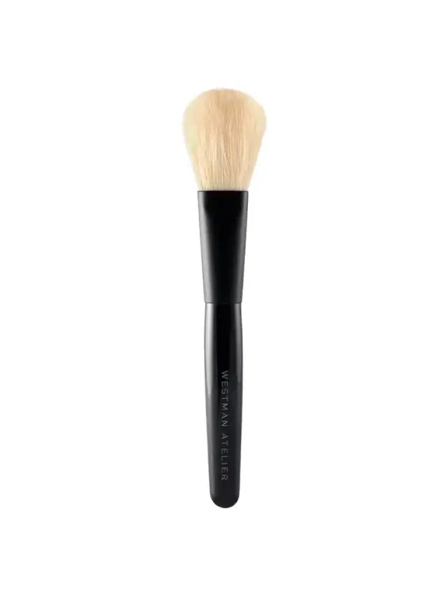 Powder Brush