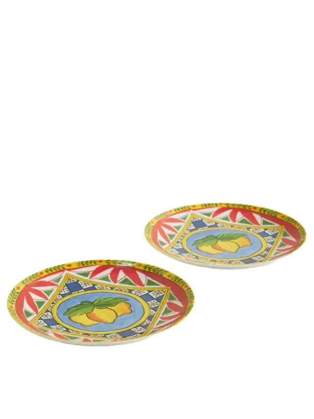 Set Of Two Printed Porcelain Dinner Plates