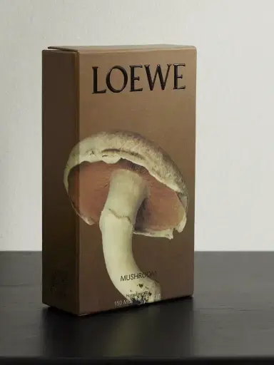 LOEWE PERFUMES Home Fragrance - Mushroom, 150ml | Thumbnail 4 LOEWE PERFUMES Home Fragrance - Mushroom, 150ml | Thumbnail 4