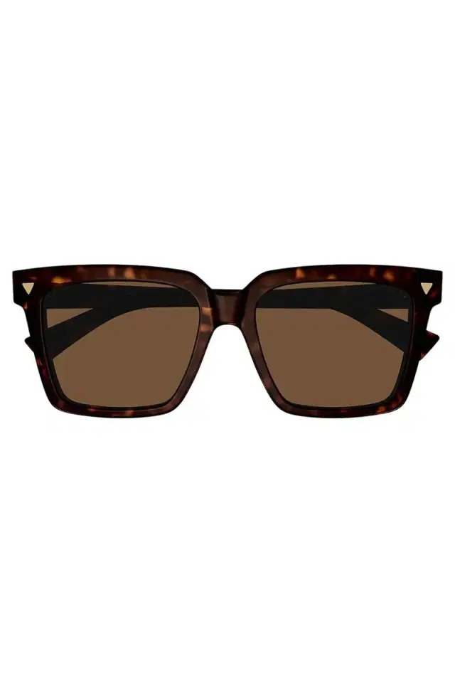 Classic Sunglasses - Tortoise Classic Sunglasses - Tortoise