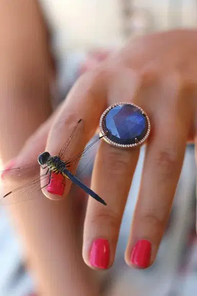 IRENE NEUWIRTH JEWELRY Rose Cut Labradorite Ring | Thumbnail 3