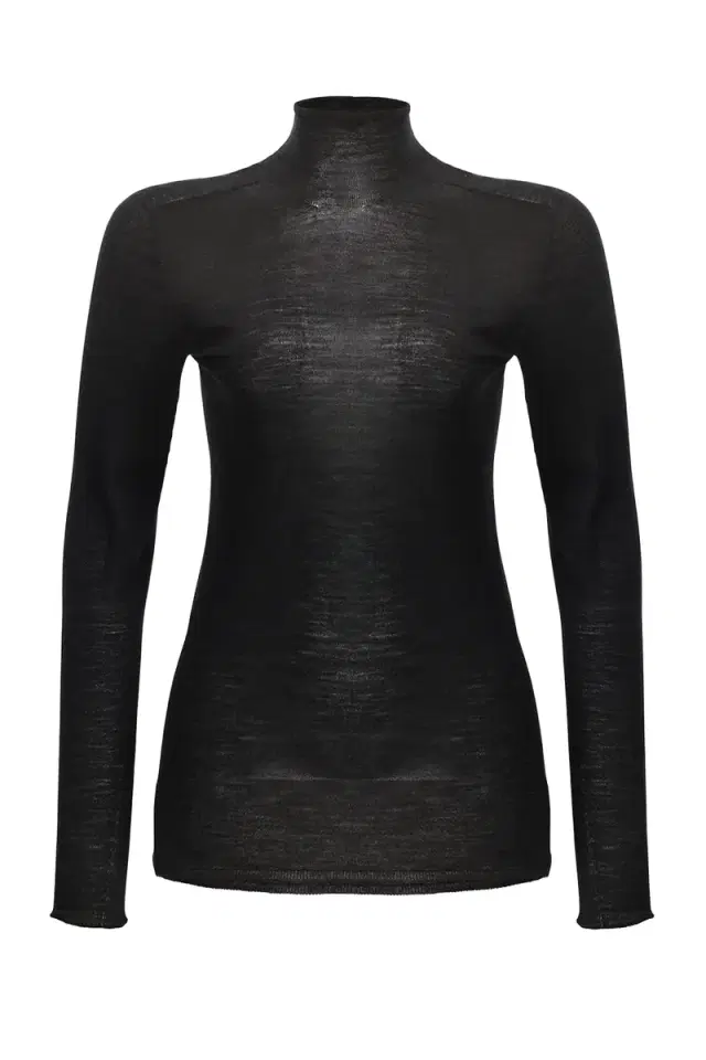 Sheer Long Sleeve Turtleneck