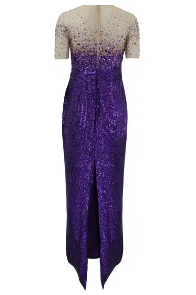PAMELLA ROLAND Tulle Sequin Gown | Thumbnail 5