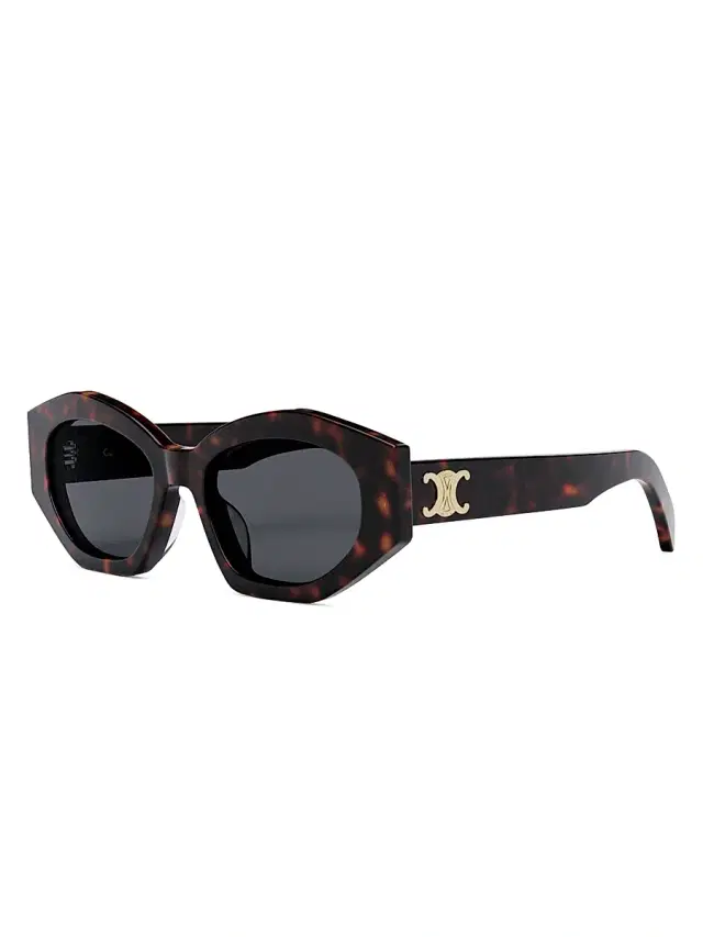 CELINE Women's Geometric 55MM Sunglasses - Dark Havana Smoke