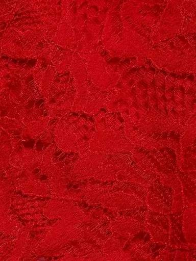 Wolford Women's Belle Fleur Lace Bikini Brief - Red - Size XL | Thumbnail 5