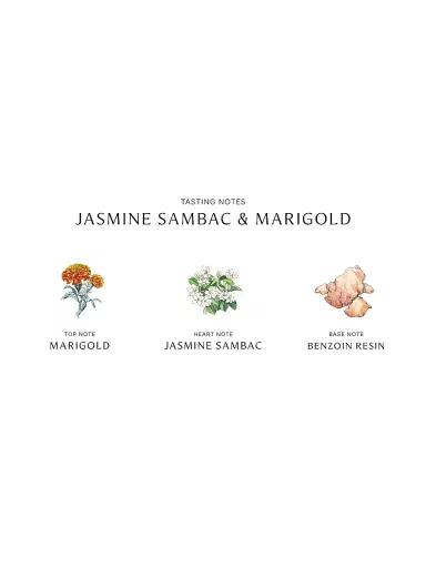 Jo Malone London Women's Jasmine Sambac & Marigold Cologne Intense - Size 3.4 oz | Thumbnail 4